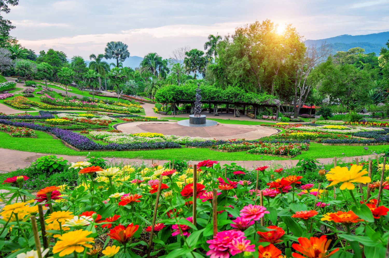 garden
