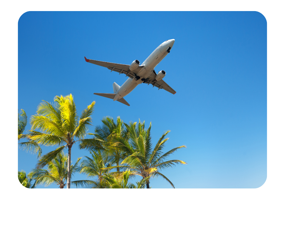 A plane with palm trees