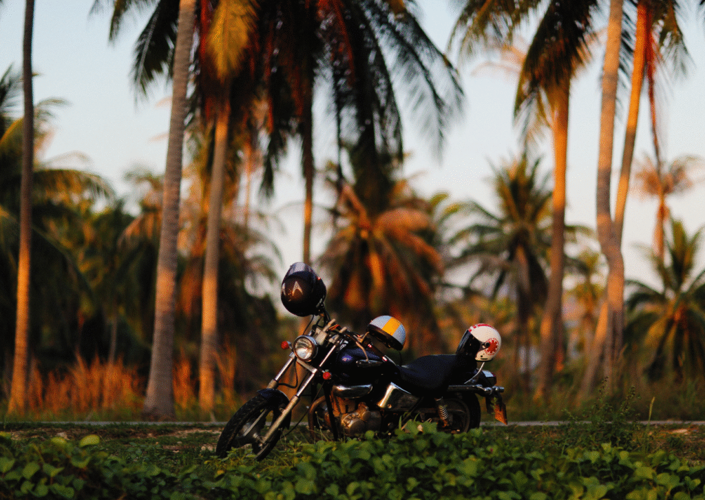 Current image: a MOTORBIKE BEHIND PALM TREES