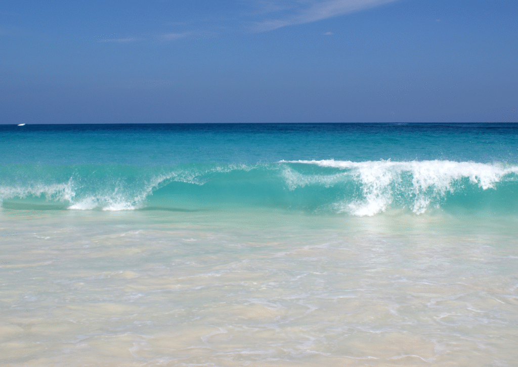 Hotels in punta cana
