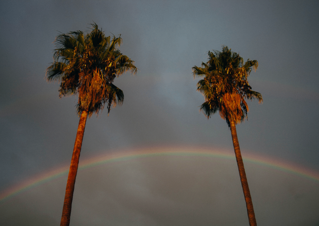 Current image: Rainbow in the sky with two palm trees