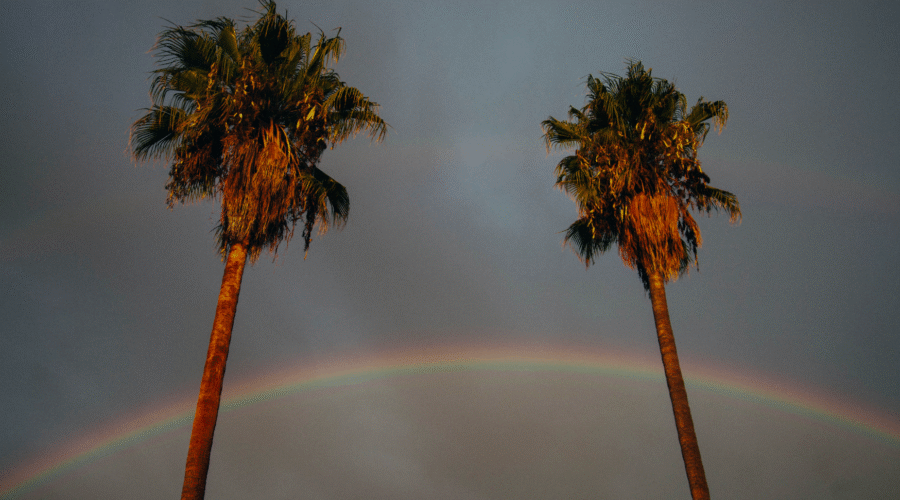 What to Do in Punta Cana When It Rains? Expert tips