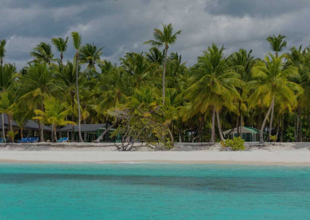 Current image: Saona Island