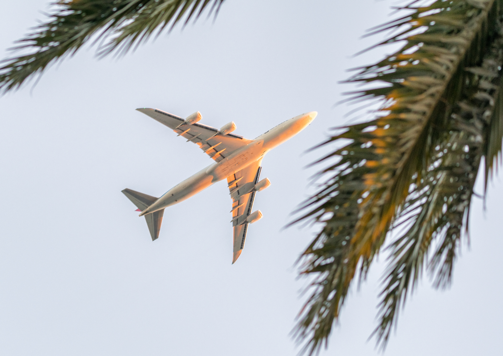 PLANE