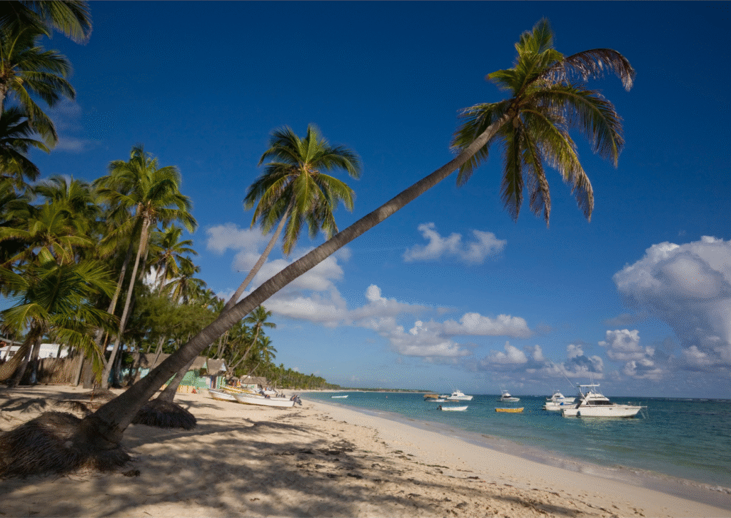 hotel zones in Punta Cana