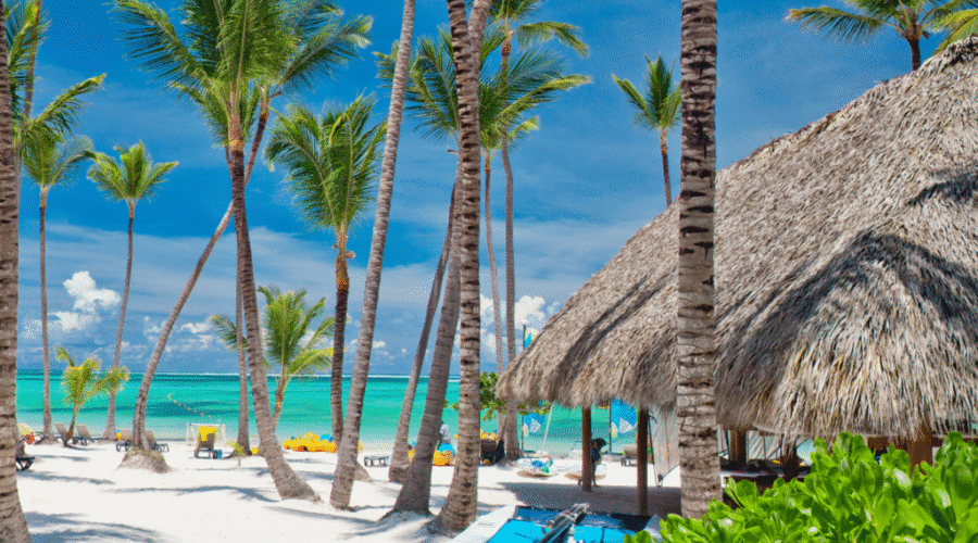 Best Things to Do in Bávaro Punta Cana You’ll Love Today