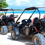 Current image: buggy