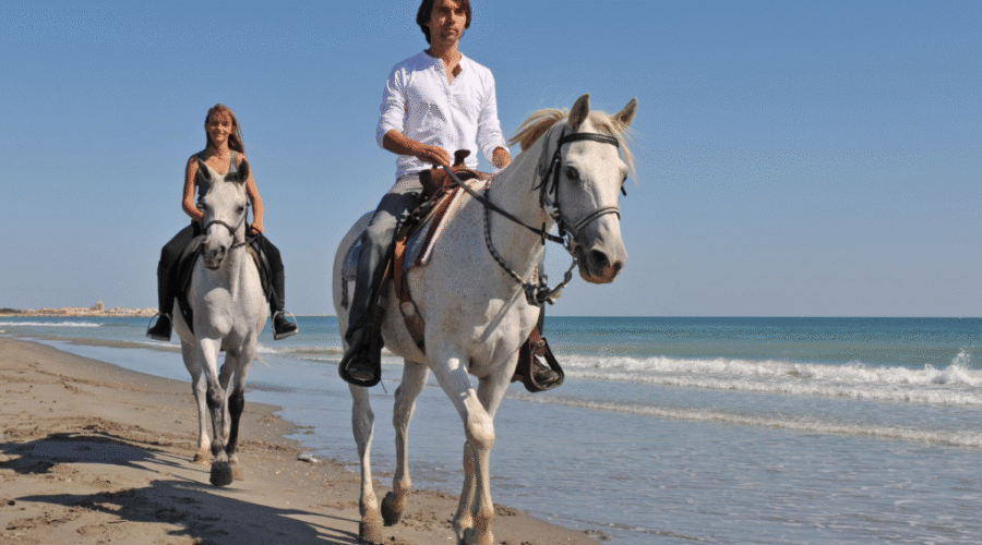 How to Book the Best Horseback Riding Tours in Punta Cana: Beach Routes & Tips (2025)
