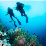 Current image: scuba diving