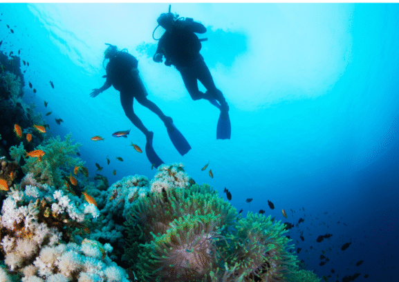 scuba diving