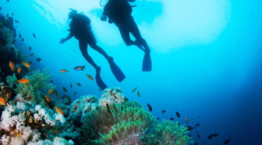 The Best Scuba Diving in Punta Cana