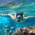 Current image: snorkel