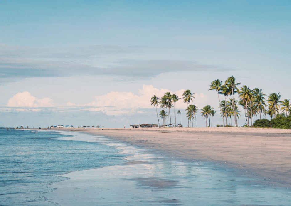 Best Time to Visit Punta Cana: Weather by Month