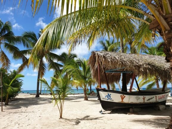 Best excursions in Punta Cana 2026